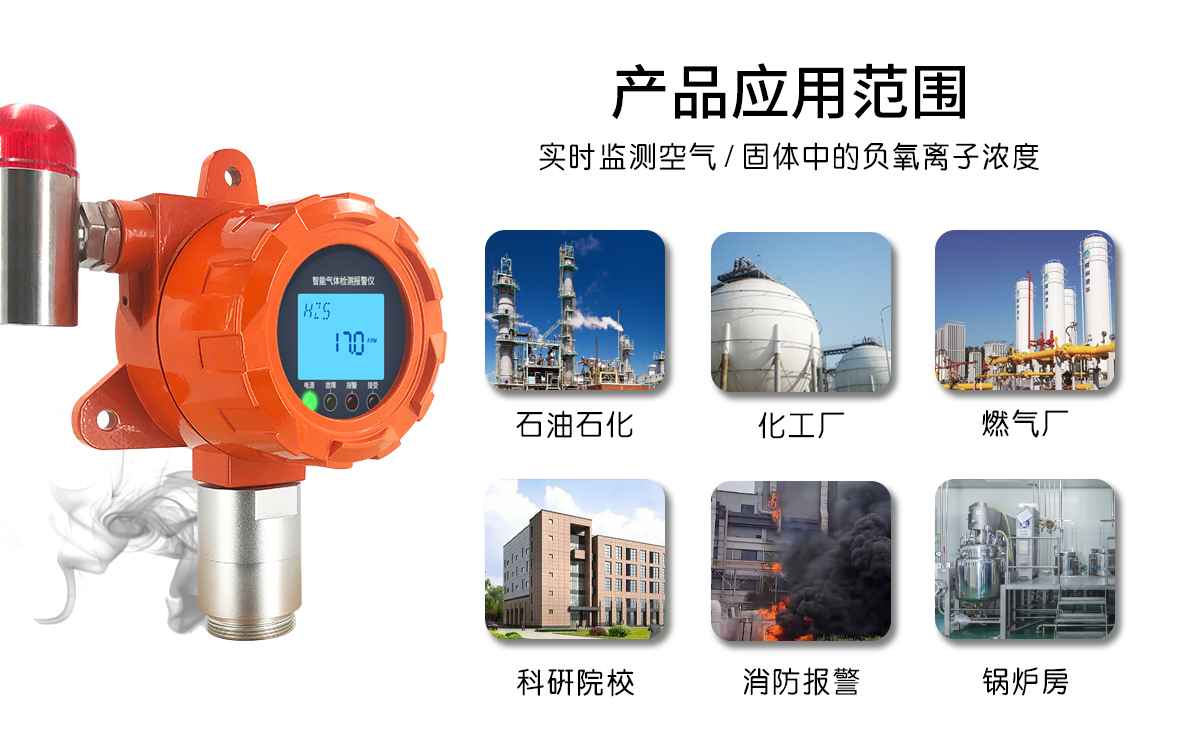 泵吸气体检测仪