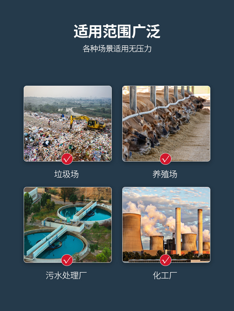 厂界恶臭详情3_02.jpg