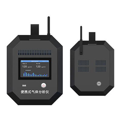 便携气体分析仪 (2).jpg