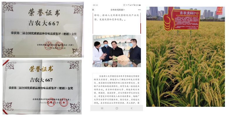 图片222.png
