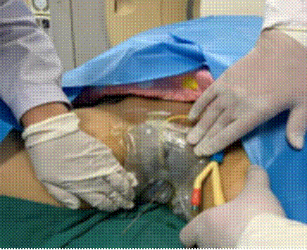 clip_image024.gif