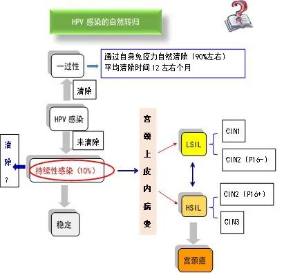 clip_image001.jpg