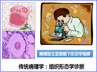 clip_image002.gif