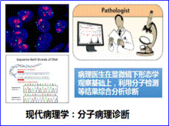 clip_image004.gif