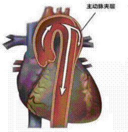 clip_image006.gif