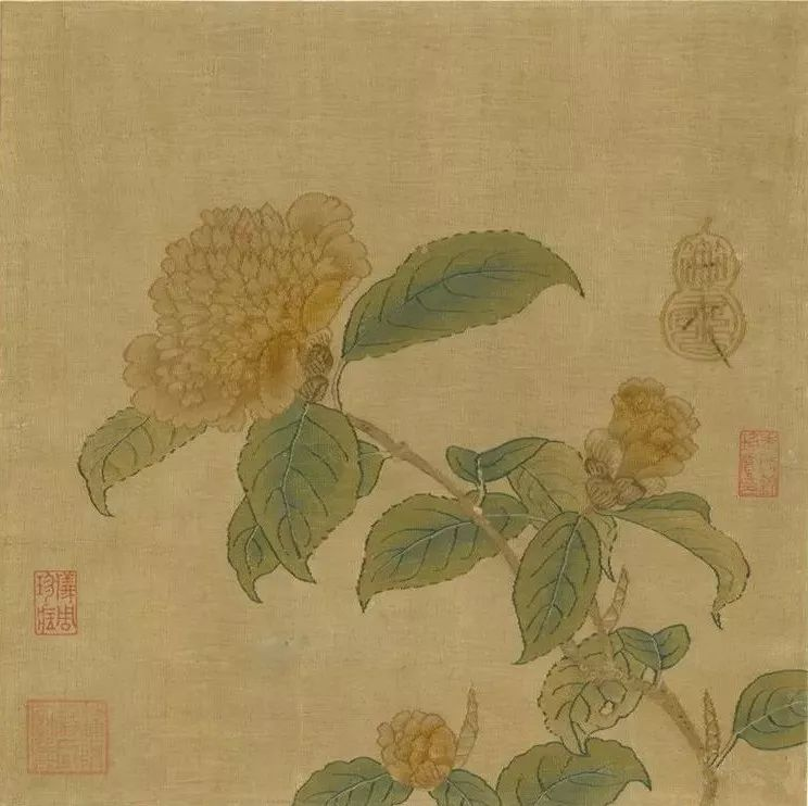 图片 8.png