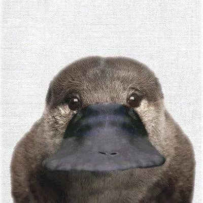 20_mkqgsLmqXPxpL0zdKO8KpMur03NMpg.jpg