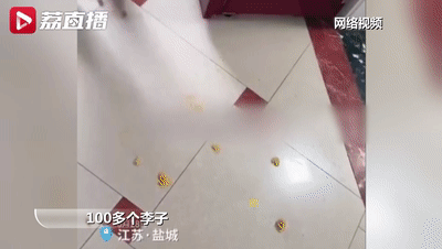 3_DZUVvRZYdb4XQe17haTGBeibV7S3Cw.gif