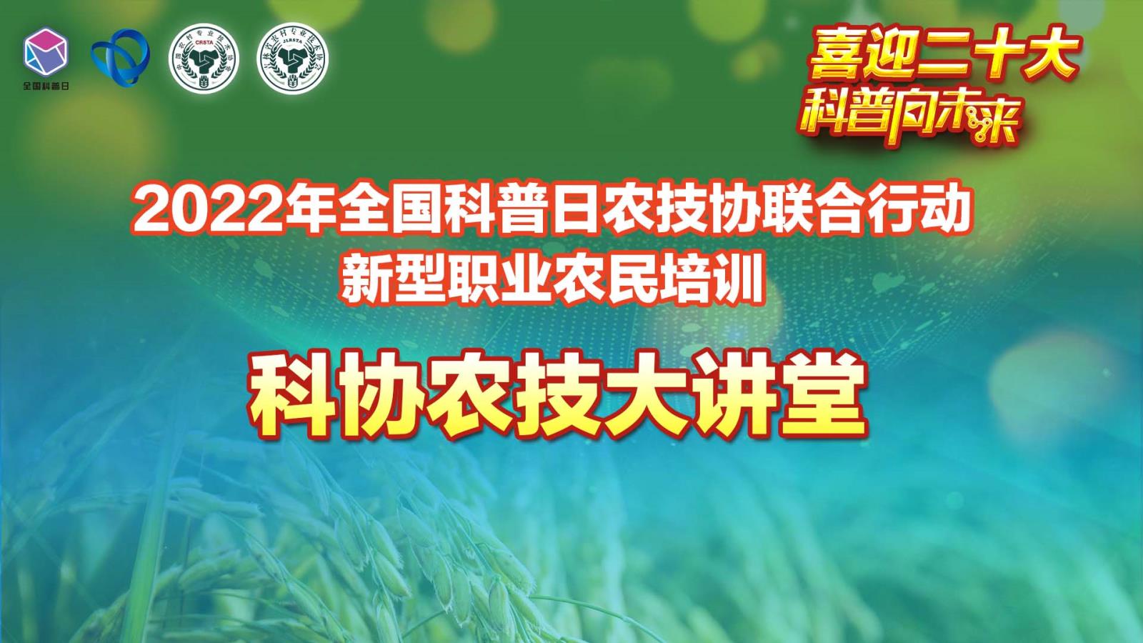 直播主视觉.jpg