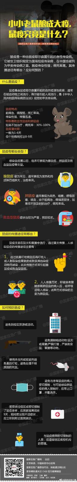 3_WgX5XeS6pPDt3BshNmSVEcoQU5m3pg.jpg