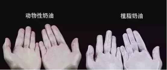 6_ibYJWth8rSEW2L4hjlia6whY45yNUA.png