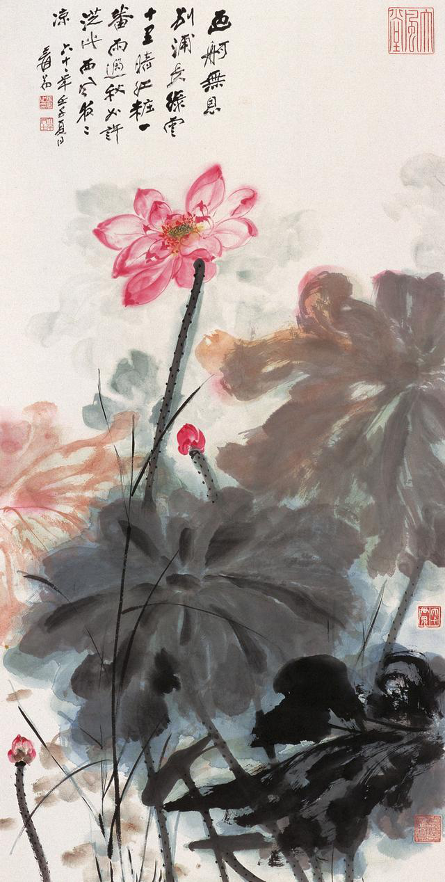 图片310.png