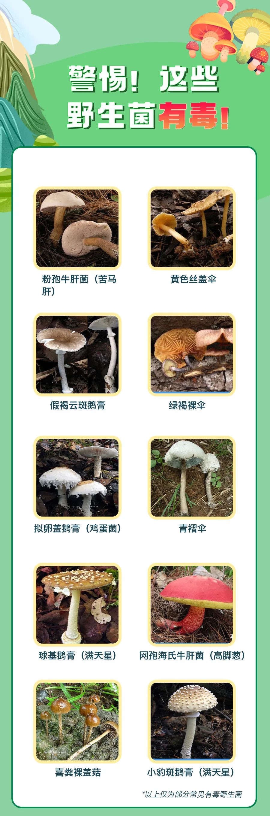 10_libic9oVt9Wxia6DuXnkAyMD7f1WnQ.jpg