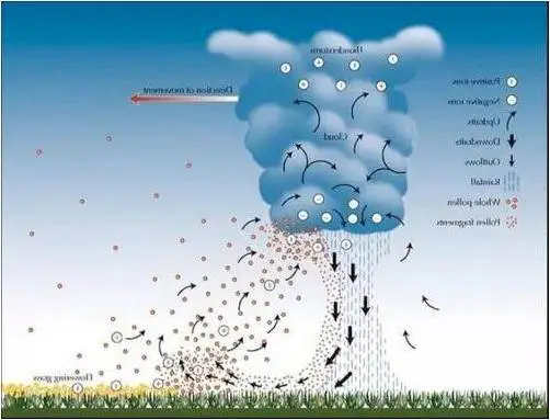 1716090566450.png
