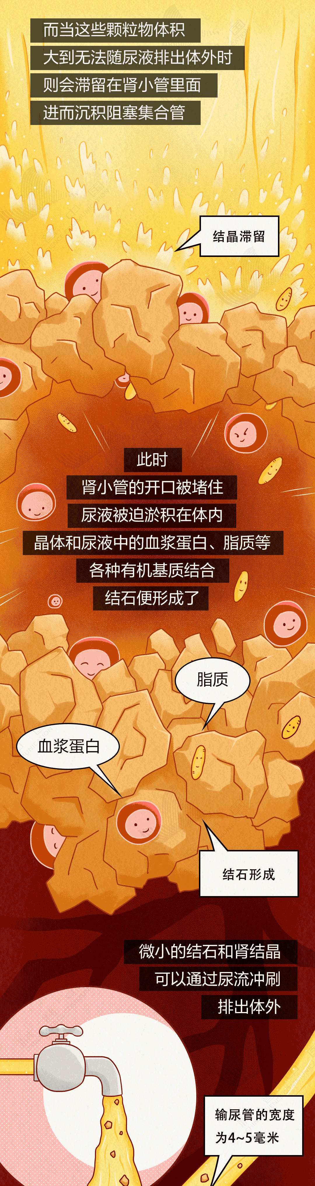 8_9dfHxfZPULC175DCSX9SSlKG325JYA.png